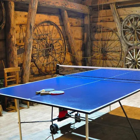 Casa vacanze With Fireplace And Private Garden Grabczyn