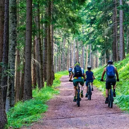 With Fireplace And Private Garden * Grabczyn