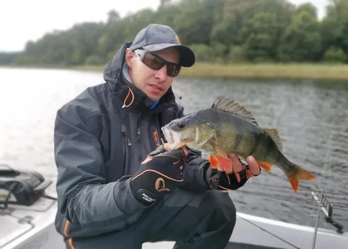 With Fireplace And Private Garden Grabczyn