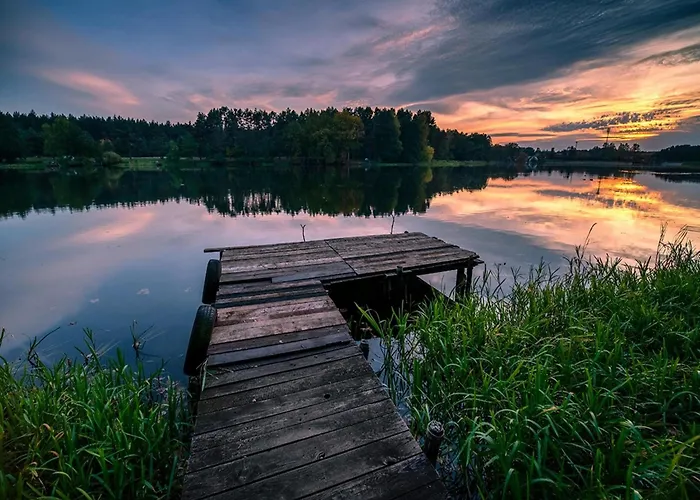 With Fireplace And Private Garden