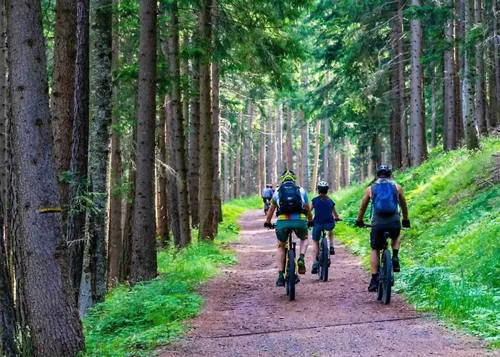 With Fireplace And Private Garden * Grabczyn